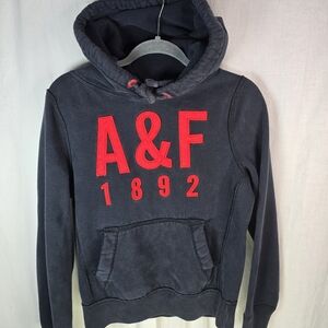 Abercrombie & Fitch Womens Hooded Sweater Size Small in Blue